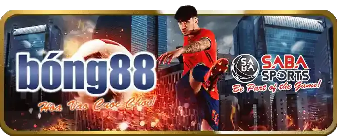 Chính sách bảo mật shbbet